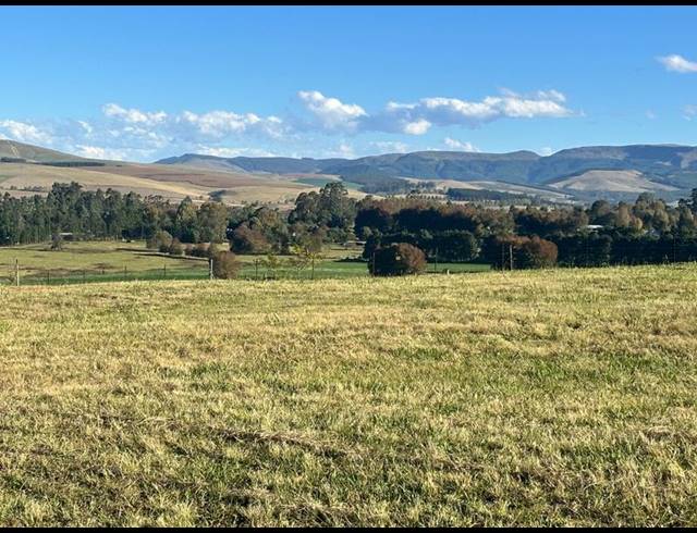 LAND FOR SALE IN DARGLE